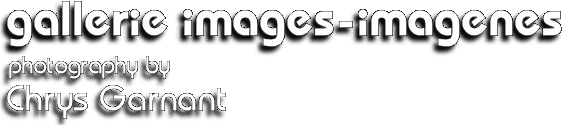 gallerie images-imagenes logo