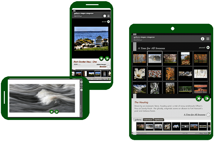 select mobile / tablet-on-desktop (portrait) interface