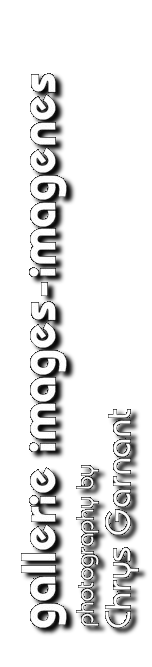 gallerie images-imagenes logo
